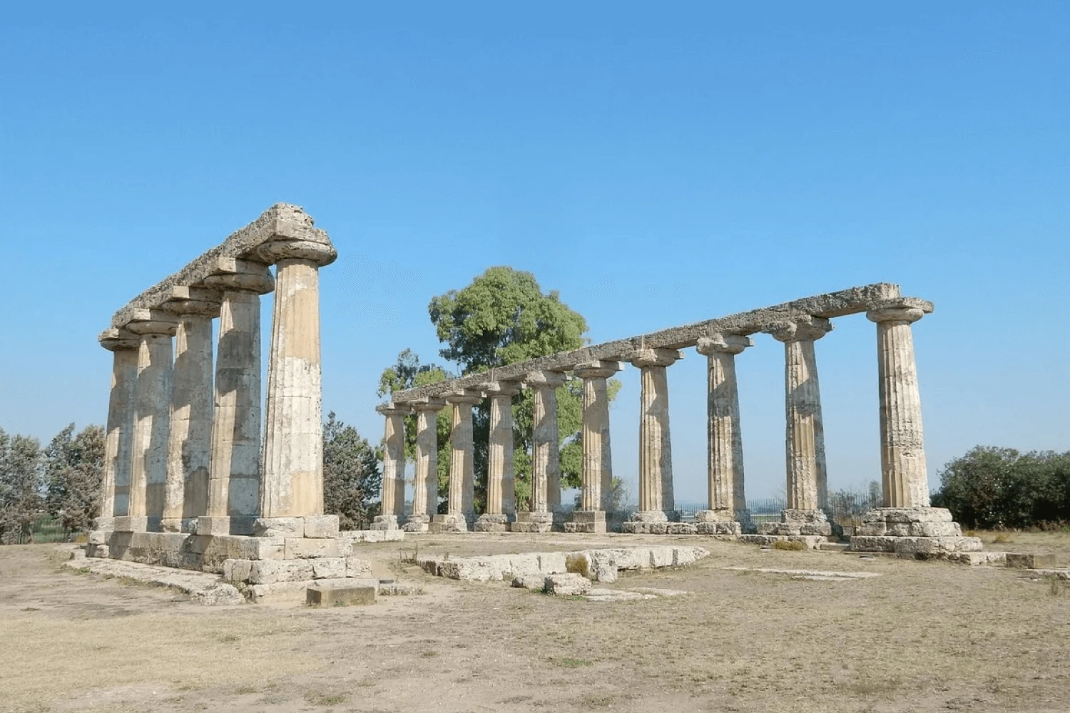 Metaponto tra spiagge dorate e storia greca/Author: www.lovesouthitaly.it